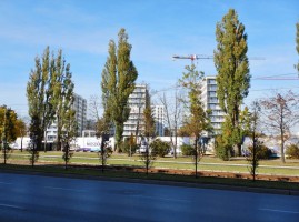 zdjęcie Art City