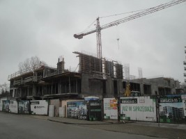 zdjęcie Borsucza 55