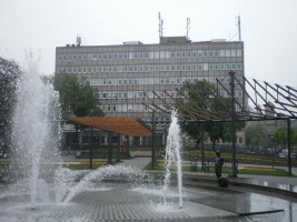 zdjęcie Zielona 8