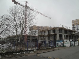 zdjęcie Borsucza 55