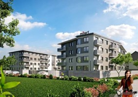 zdjęcie Kamieńskiego II