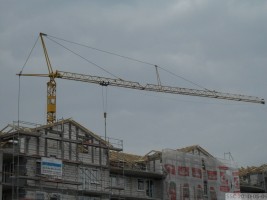 zdjęcie Niedźwiedzia 7-9
