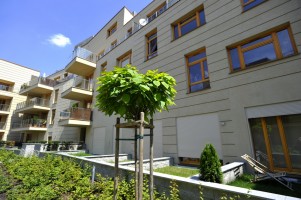 IV etap