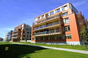 IV etap