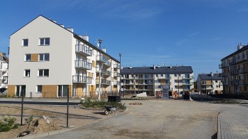zdjęcie Wróbla Staw