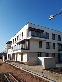 zdjęcie Wille Bergamotki