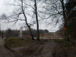 zdjęcie Młoda Morena I