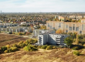 zdjęcie Topole