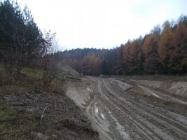 zdjęcie Młoda Morena I