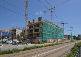 zdjęcie z budowy Braniborska 10