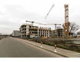 IV etap