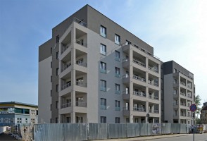zdjęcie Vicino