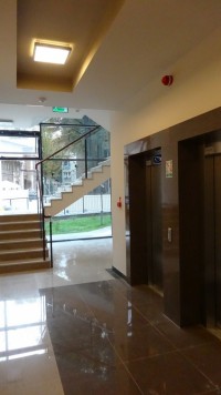 zdjęcie Kamienica Pod Smokami