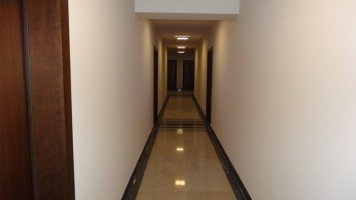 zdjęcie Kamienica Pod Smokami