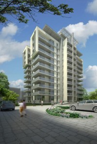 zdjęcie Jachowicza/11 listopada