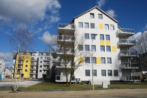 prace wykończeniowe