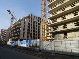 zdjęcie Na Podgórniku 2