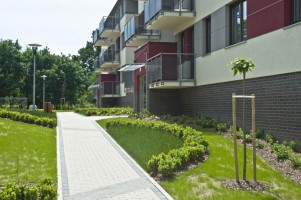 etap II