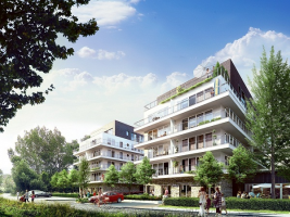 zdjęcie Golden Tulip