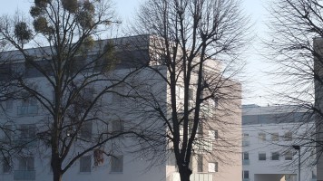 zdjęcie Kartuska 26