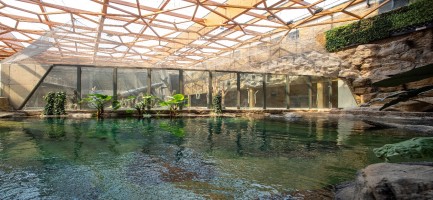 zdjęcie Orientarium