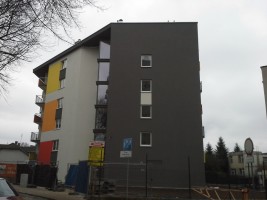 zdjęcie Wężyka 10