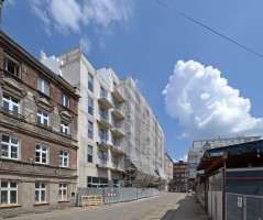 zdjęcie Ptasia 7