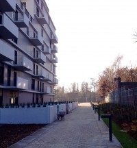 prace wykończeniowe - zagospodarowanie ternu wokół inwestycji