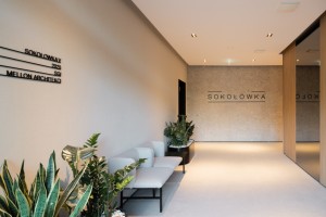 zdjęcie Sokołówka V