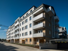 etap V