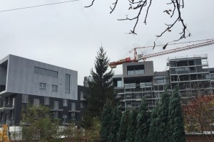zdjęcie Baildomb