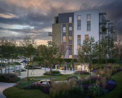 zdjęcie z budowy Rytelska