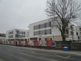 zdjęcie Popularna 50