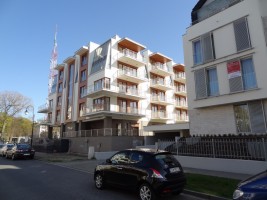 zdjęcie Pegaz