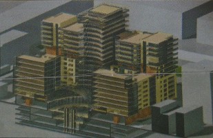 zdjęcie Piotrkowska 217