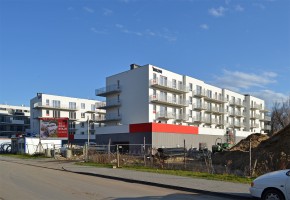 zdjęcie Nowy Port
