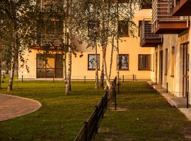 zdjęcie Aleksandria