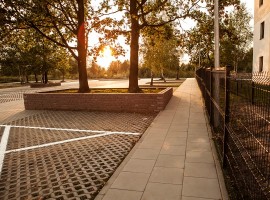 zdjęcie Aleksandria