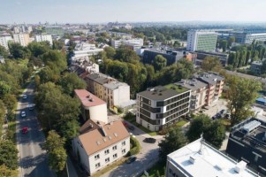 zdjęcie Kaviory 41