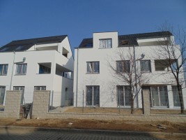 zdjęcie Aleje Kokosowe