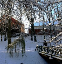 zdjęcie Villa Central Park