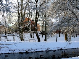 zdjęcie Villa Central Park