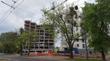 zdjęcie Pomarańczarnia