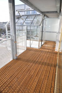 zdjęcie Evergreen365