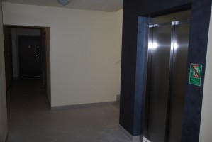 zdjęcie Tęczowy Raj