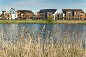 zdjęcie Botanica Jelitkowo II