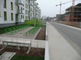 zdjęcie Accent Vert