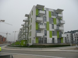 zdjęcie Accent Vert