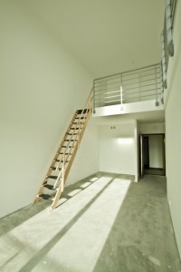 Novalia 1