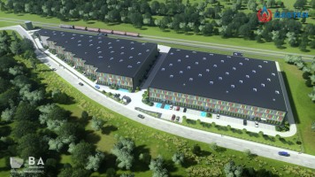 zdjęcie Flex Gdańsk BCL